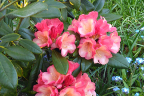 'Mary M. Hogan'