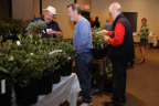 XNC044-Terry-Richmond-Plant-sale_DSC0153