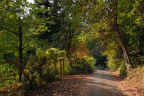 XNC072-Heading-Into-Nixons_DSC0283