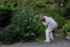 XNC074-Les-Clay-Rose-of-Sharon_DSC0277