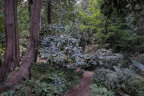 XNC076-Nixon-Garden-Path_DSC0274