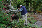 XNC077-Mark-Nixon-Garden_DSC0270