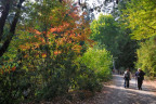 XNC086-Heading-Out_DSC0291