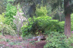 BT1305037a