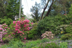 BT1305037b