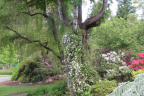 BT1305039a