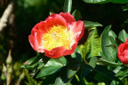 BT1305108
