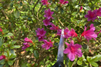 Unknown #158 (1) (May 19)