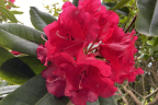 Unknown #5 (June 10)