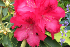 'Kluis Sensation'