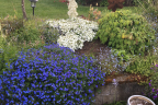 'Grace Ward' and 'Avalanche'