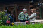 Tea1105027