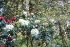 PVisit054