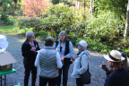 PVisit061