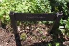 PVisit081