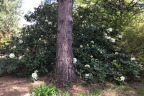 PVisit158