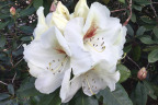PVisit159