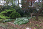 PVisit169