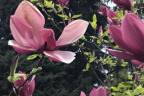 PVisit174