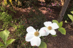 PVisit175