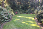 PVisit203