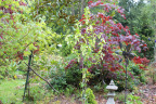 PVisit219