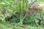 PVisit234