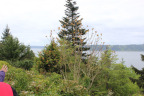 PVisit257