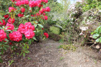 PVisit264