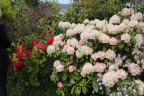 PVisit265