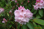 PVisit289