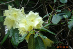 PVisit290