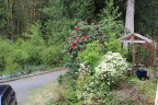 PVisit296