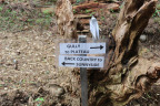 PVisit300