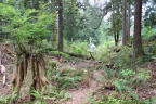 PVisit302