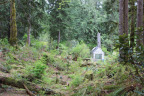 PVisit305