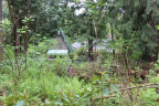 PVisit306