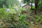 PVisit315