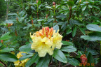 PVisit317