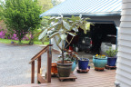 PVisit409