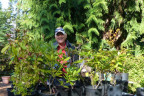 Prop005