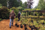 Prop067