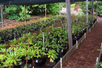 Prop084