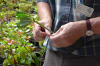 Prop102