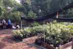 Prop17134