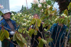 PR1305040
