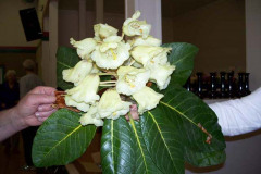 PS080521