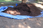 Bark Mulch