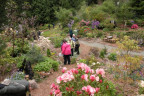 VT090500042
