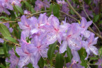 VT090500045